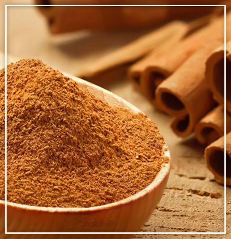 Cey Agro Exports - Cinnamon 03