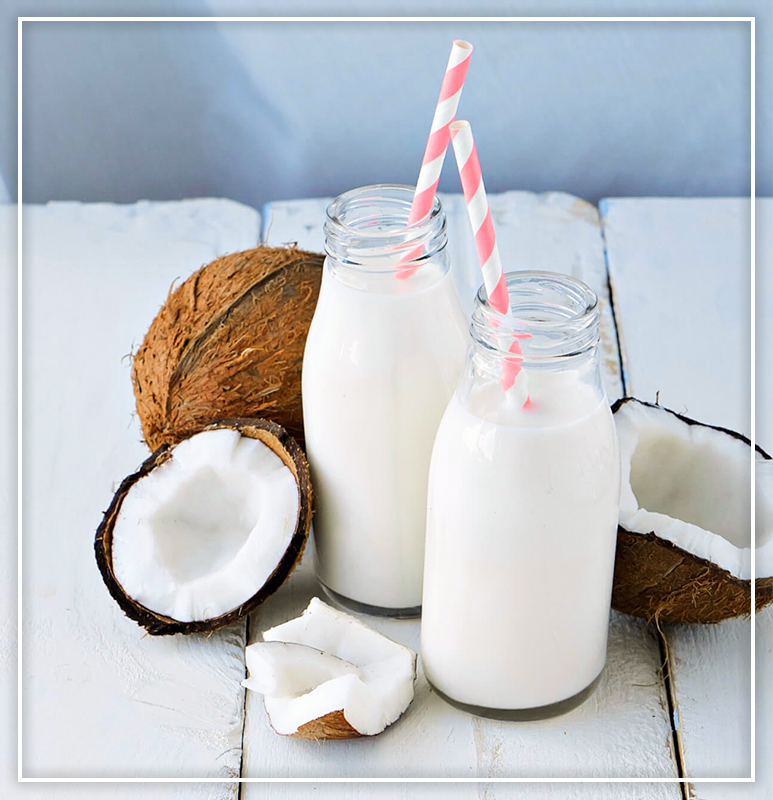 Cey Agro Exports - Coconut Milk 01