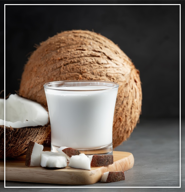 Cey Agro Exports - Coconut Milk 03